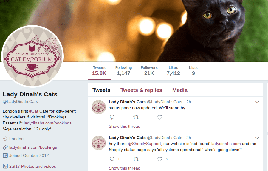 Lady Dinah Social Campaign Results Min