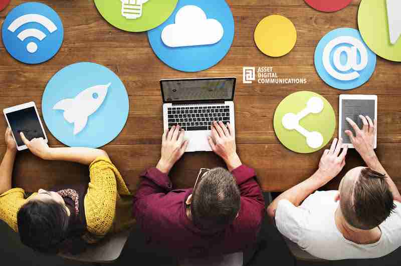 Professional Social Media Management